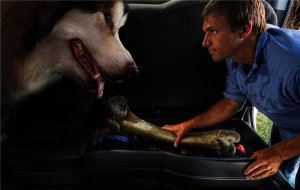 Ram 1500 Under Seat Storage Box - Rear - Husky Liners - GearBox - Black - `11-`12